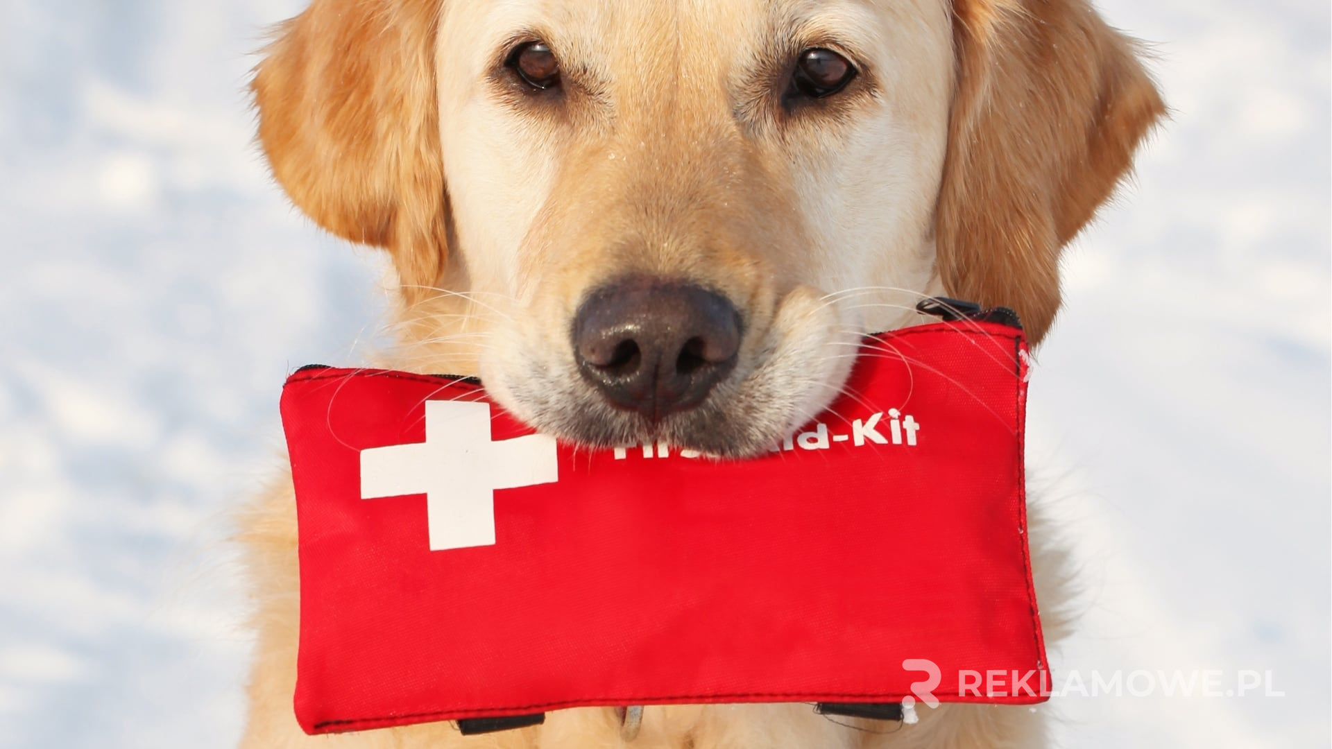 Apteczka reklamowa w kontekście zdrowia